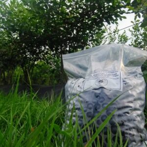 bolsa de 2 kg de arandanos para mermelada