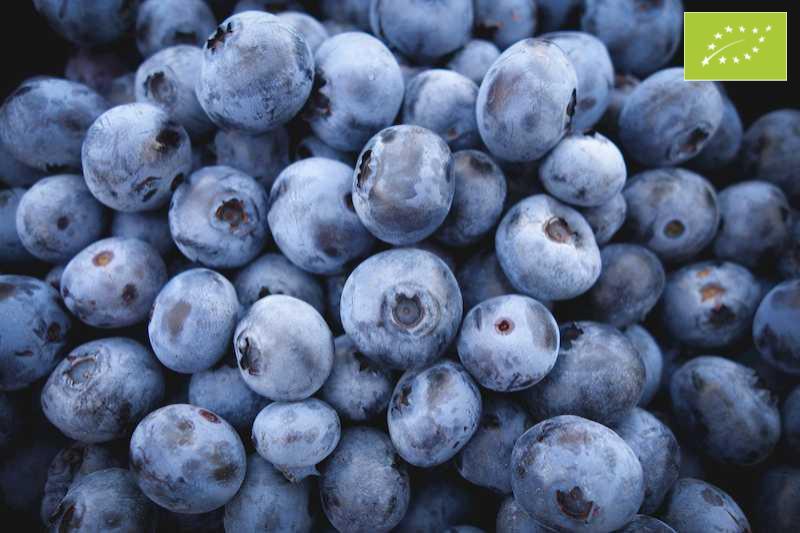 arandanos con logo EU